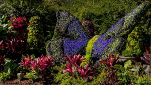 #DisneyFamilia: Op &#039;Encanto&#039;-geïnspireerde tuin debuteert op EPCOT International Flower &amp; Garden Festival (WDW)