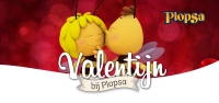 Valentijnsactie Plopsa