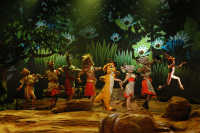 Disneyland Pars 30 jaren shows en magie