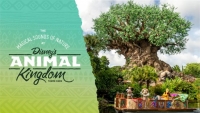 Vier Earth Day via ASMR met deze magische natuurgeluiden uit Disney&#039;s Animal Kingdom