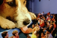 (Er was eens) 28 maart 1999: Opening van de attractie: Honey I Shrunk the Audience!